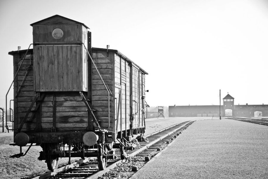 Auschwitz-Birkenau Tour from Katowice with Private Transfers - Crossing to Birkenau