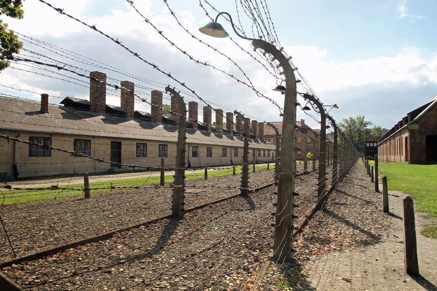 Auschwitz-Birkenau Tour from Katowice with Private Transfers - The Driver and the Private Transfer Experience