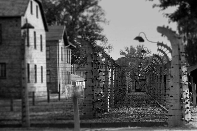 Auschwitz Birkenau Transfer and Guide with Salt Mine Combo Option - Birkenau and the Scale of the Camp