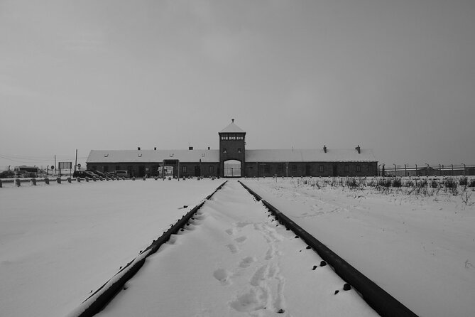 Auschwitz Birkenau Transfer and Guide with Salt Mine Combo Option - Why the Guides and Drivers Matter