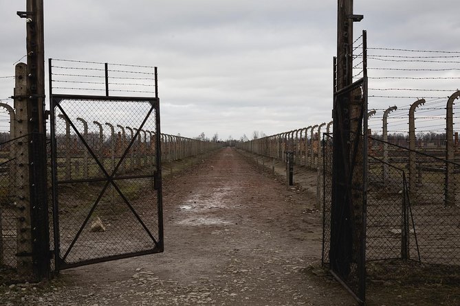 Auschwitz-Birkenau & Wieliczka in one day (Guided tour) - Guides, group size, and the value of a package tour