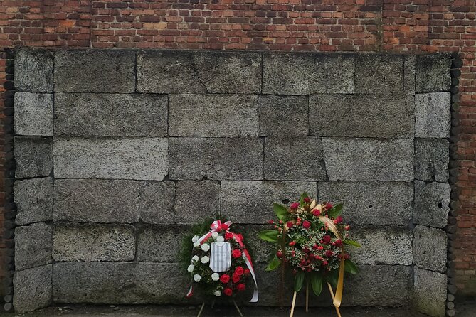 Auschwitz Museum and Salt Mine Tour with Private Transport - Timing, walking, and the lunch problem