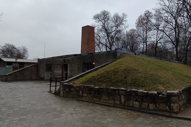 Auschwitz Museum and Salt Mine Tour with Private Transport - Who will get the most from this tour