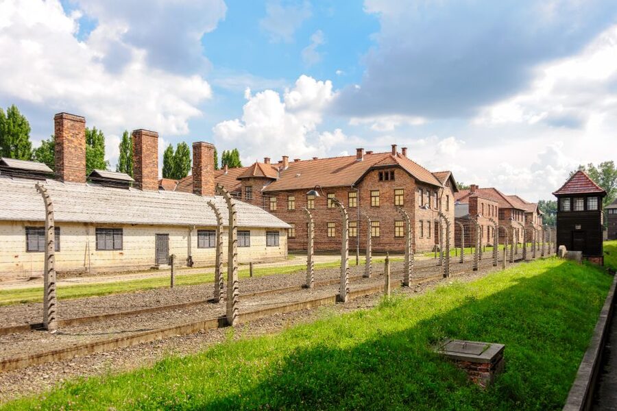 Auschwitz Ticket and Full-Day Tour from Krakow - The 30-minute break and return to Krakow