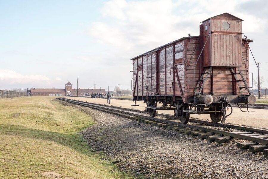 Auschwitz Ticket and Full-Day Tour from Krakow - What the $96 price includes