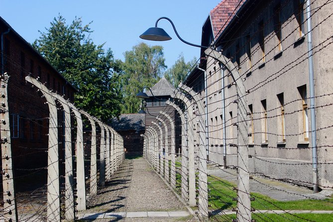 Auschwitz & Wieliczka ONE DAY Guided Tour +Private Transportation - Drivers, communication, and service quality
