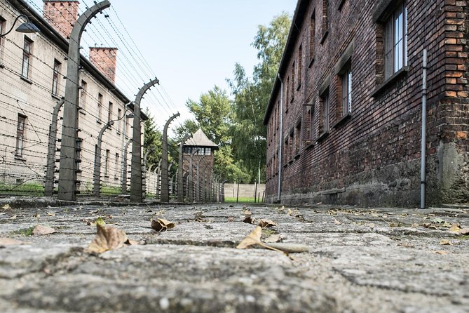 Combined: Auschwitz Birkenau and Salt Mine private chauffeur from Krakow - Why combine Auschwitz and Wieliczka?