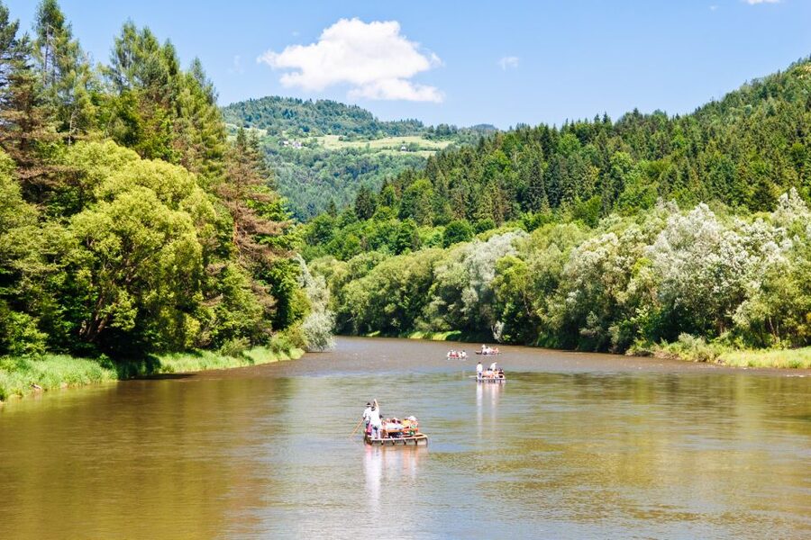 Dunajec River Gorge and Zakopane: Full-Day Trip from Krakow - The driver-guide service is part of the value