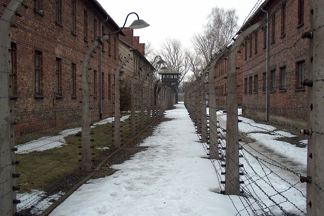 Exclusive Small Group Auschwitz-Birkenau Guided Tour from Krakow - Birkenau, the larger and more exposed camp