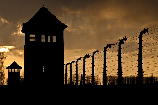 Exclusive Small Group Auschwitz-Birkenau Guided Tour from Krakow - Clothing, identification, and age guidance