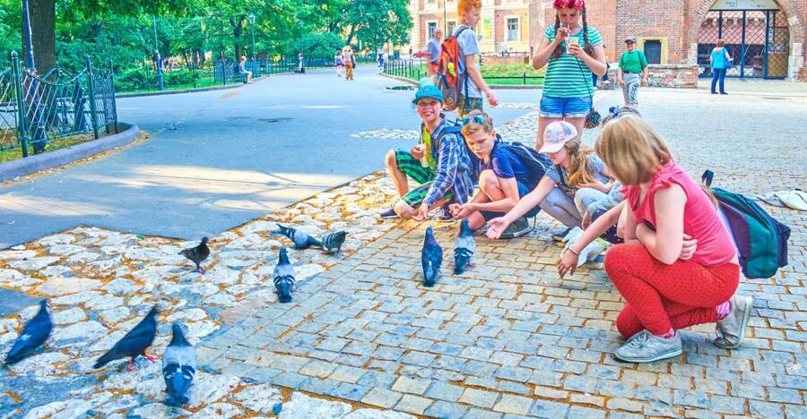 Family Tour of Krakow Old Town with Sweets Factory & Cruise - Floriańska Street and the Royal Route