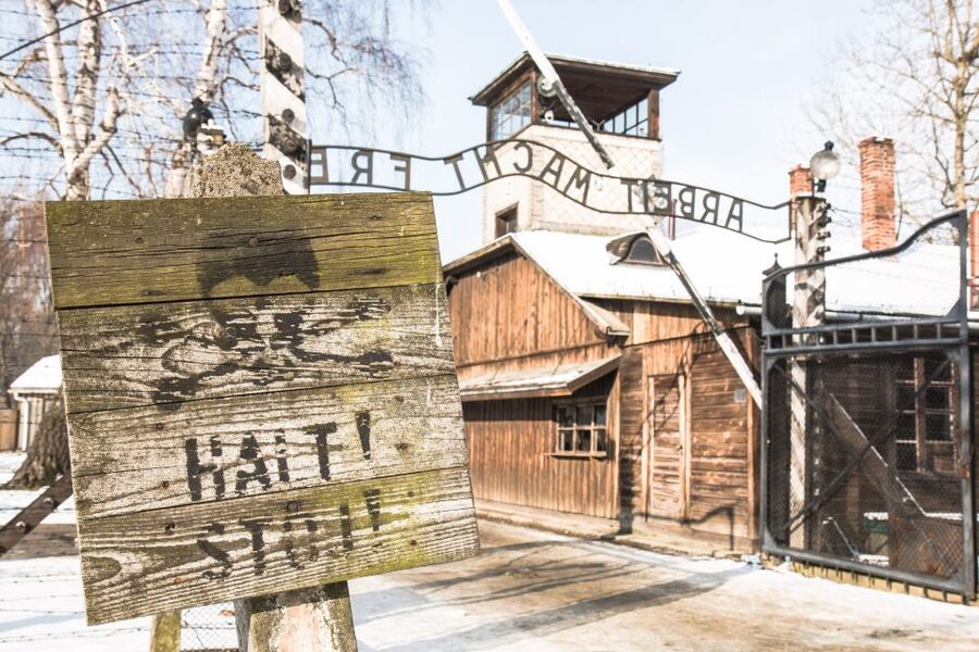 From Krakow: Auschwitz and Wieliczka Salt Mine Full-Day Trip - The morning journey from central Krakow