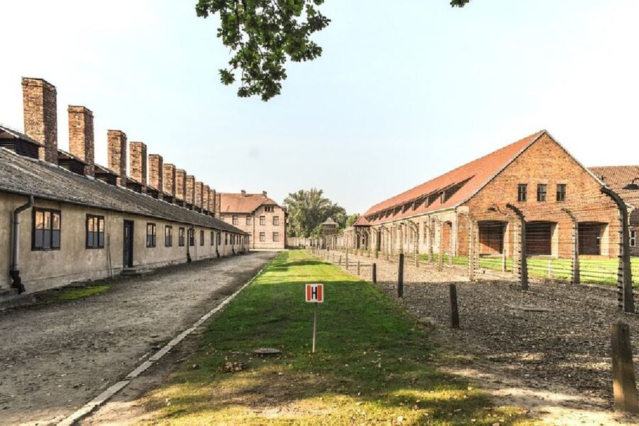 From Krakow: Auschwitz Birkenau and Salt Mine Guided Tour - Starting from Krakow and getting organized