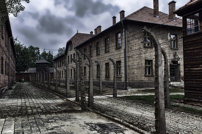From Krakow: Auschwitz-Birkenau and Salt Mine with Private Transfer - The guide arrangement and the role of your driver