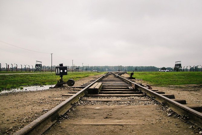 From Krakow: Auschwitz-Birkenau and Salt Mine with Private Transfer - Who should book this 10-hour Krakow tour