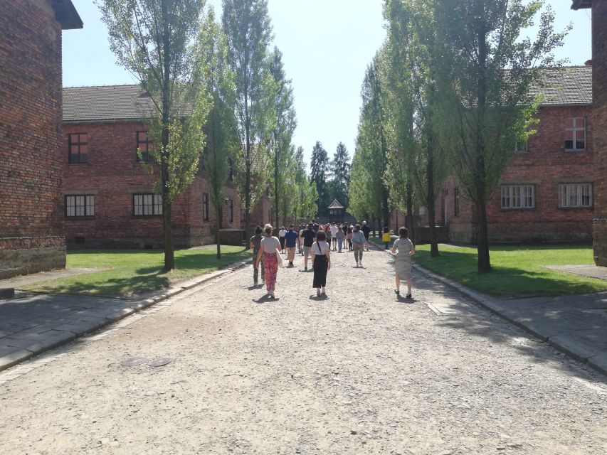 From Krakow: Auschwitz-Birkenau and Self-Guided Day Tour - Why this Auschwitz-Birkenau format works
