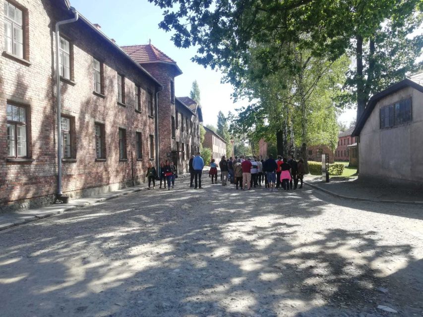 From Krakow: Auschwitz-Birkenau and Self-Guided Day Tour - Who should choose this trip