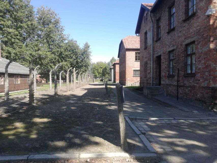 From Krakow: Auschwitz-Birkenau and Self-Guided Day Tour - Practical advice for a more manageable visit