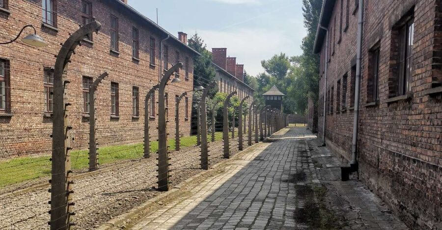 From Krakow: Auschwitz-Birkenau Camp Complex Guided Day Trip - Key points to know before booking