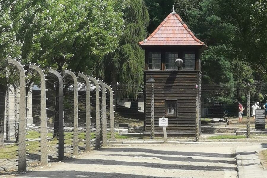 From Krakow: Auschwitz-Birkenau Camp Complex Guided Day Trip - Practical preparation for a more focused visit