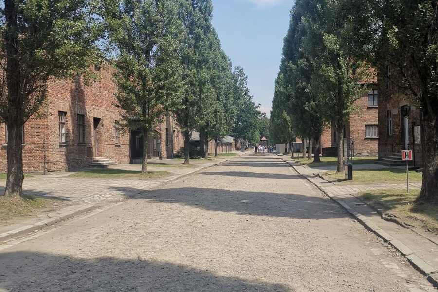 From Krakow: Auschwitz-Birkenau Camp Complex Guided Day Trip - What the prisoner blocks reveal