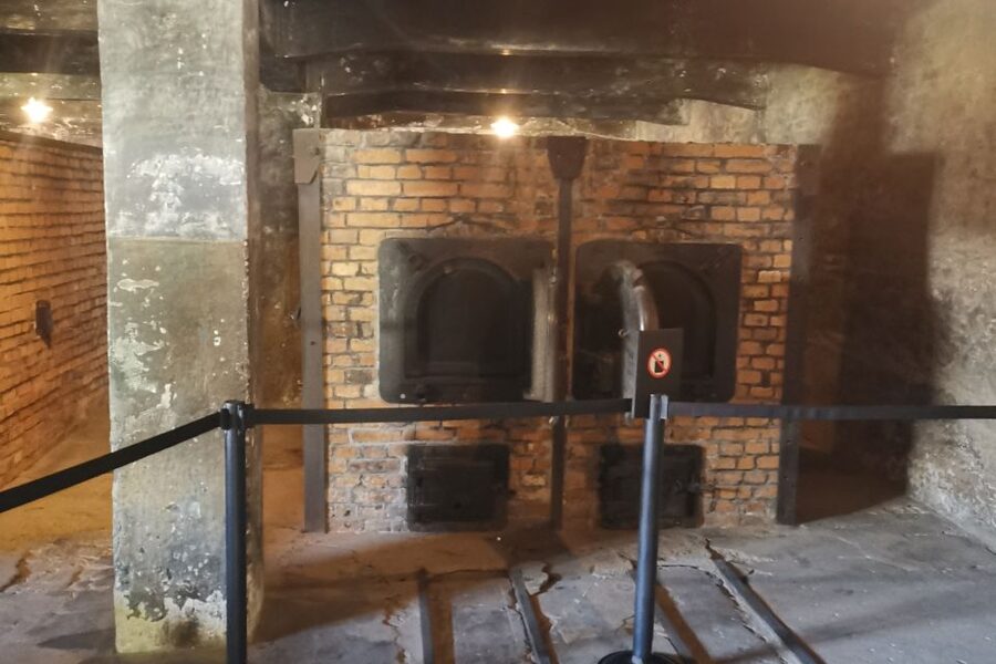 From Krakow: Auschwitz-Birkenau Camp Complex Guided Day Trip - The short transfer to Birkenau
