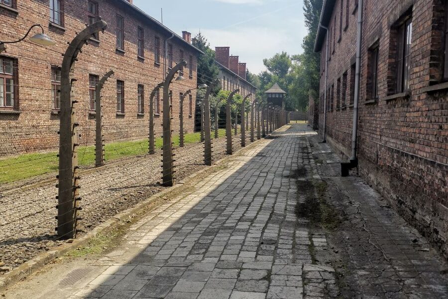 From Krakow: Auschwitz-Birkenau Camp Complex Guided Day Trip - Why Birkenau feels different from Auschwitz