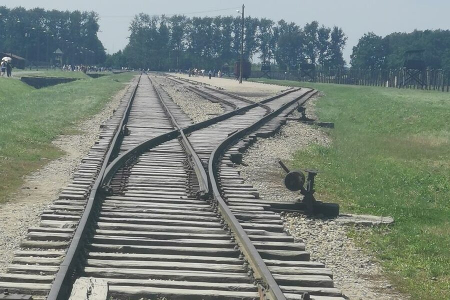 From Krakow: Auschwitz-Birkenau Camp Complex Guided Day Trip - How the $83 price works in practical terms