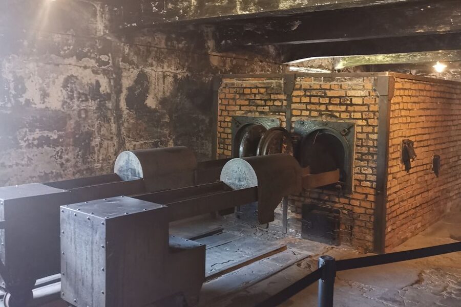 From Krakow: Auschwitz-Birkenau Camp Complex Guided Day Trip - Who will get the most from this tour