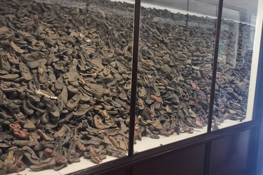 From Krakow: Auschwitz-Birkenau Camp Complex Guided Day Trip - The morning pickup in Krakow