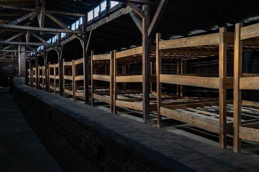 From Krakow: Auschwitz-Birkenau Full-Day Tour - Why this visit matters