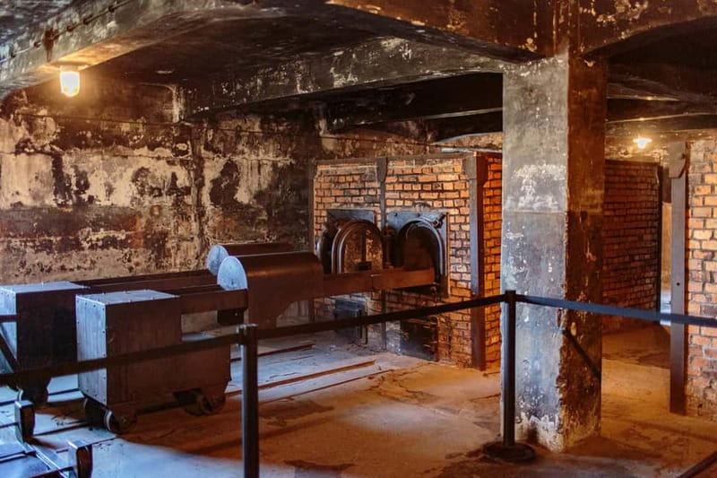 From Krakow: Auschwitz-Birkenau Guided Full-Day Tour - Five things to know before you book
