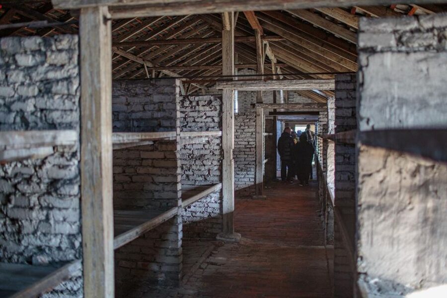 From Krakow: Auschwitz-Birkenau Guided Full-Day Tour - Simple ways to prepare for a better visit