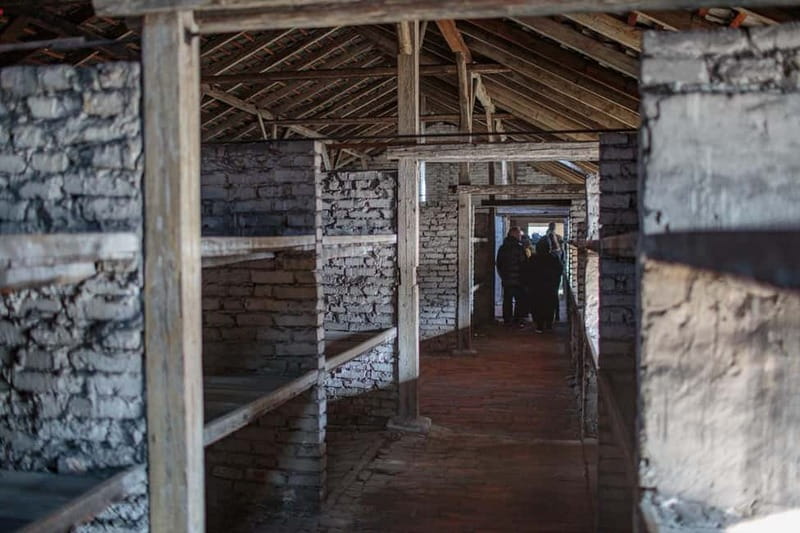 From Krakow: Auschwitz-Birkenau Guided Full-Day Tour - Who should choose this Krakow day trip