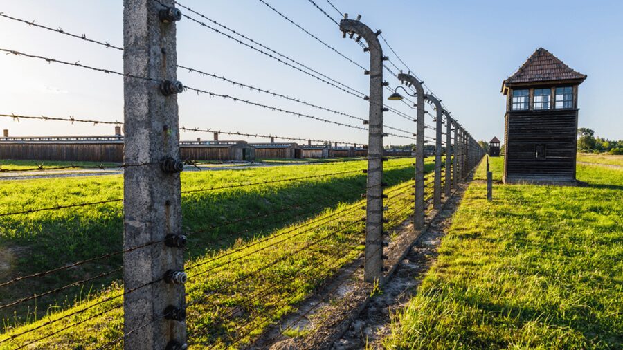 From Krakow: Auschwitz-Birkenau Guided Tour Guaranteed Time - Why this visit needs a guide