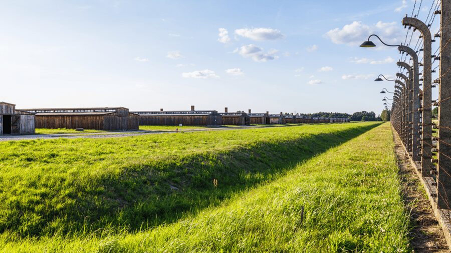 From Krakow: Auschwitz-Birkenau Guided Tour Guaranteed Time - Booking advice and final decision