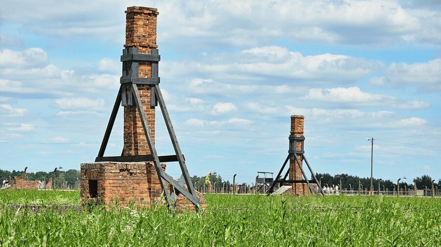 From Krakow: Auschwitz-Birkenau Guided Tour Guaranteed Time - What you see at Birkenau