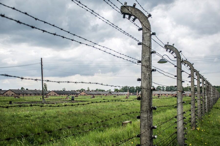 From Krakow: Auschwitz-Birkenau Guided Tour & Hotel Pickup - Who should book this Auschwitz tour?