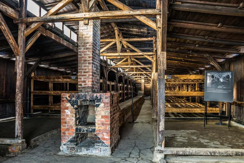 From Krakow: Auschwitz-Birkenau Guided Tour & Hotel Pickup - The original barracks and gas chambers
