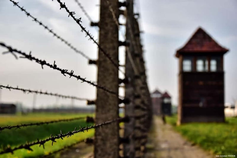 From Krakow: Auschwitz-Birkenau Guided Tour & Hotel Pickup - Auschwitz II-Birkenau and the railway platform