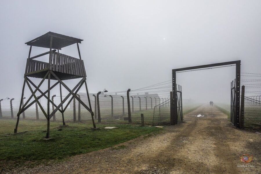From Krakow: Auschwitz-Birkenau Guided Tour & Pickup - Practical ways to make the day better