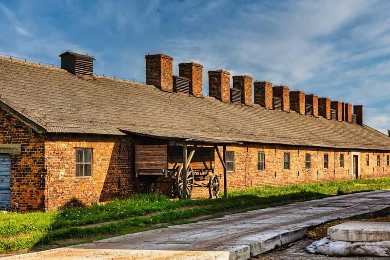 From Krakow: Auschwitz-Birkenau Guided Tour & Transport - Key points to know before booking