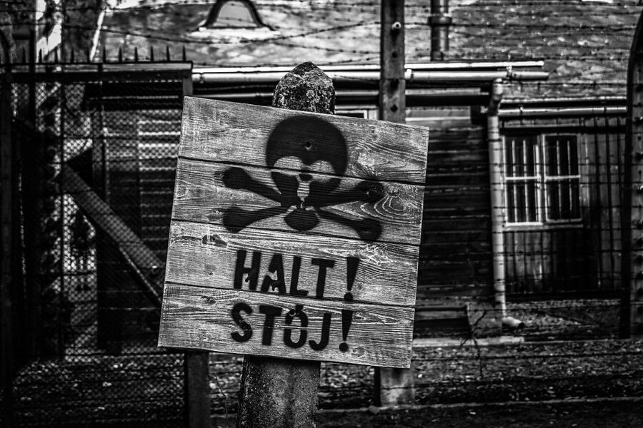 From Krakow: Auschwitz-Birkenau Guided Tour & Transport - Practical advice for a respectful day