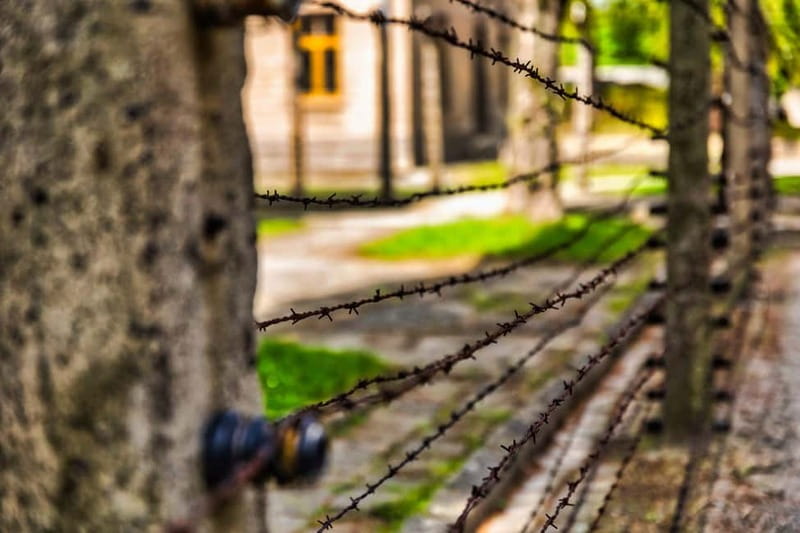 From Krakow: Auschwitz-Birkenau Guided Tour & Transport - Auschwitz II-Birkenau, scale and open space