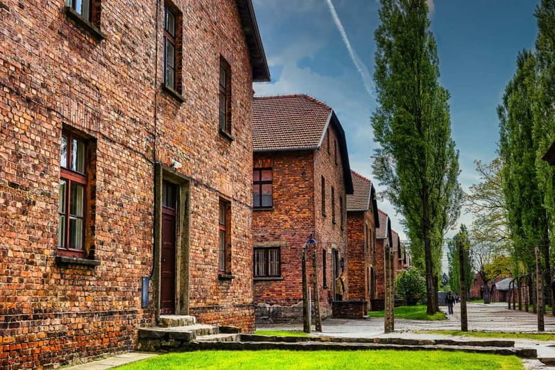 From Krakow: Auschwitz-Birkenau Guided Tour & Transport - Who will get the most from this visit?