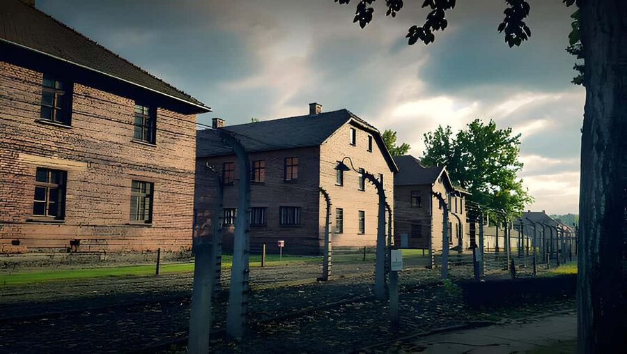 From Krakow: Auschwitz & Birkenau Guided Tour with Pick up - How the guide and tour leader affect the day