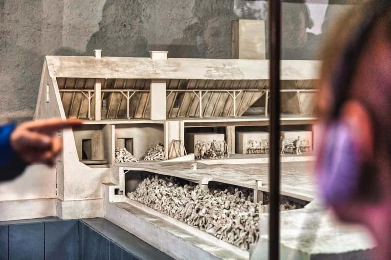 From Krakow: Auschwitz-Birkenau Guided Tour with Transport - Transport, timing, and comfort