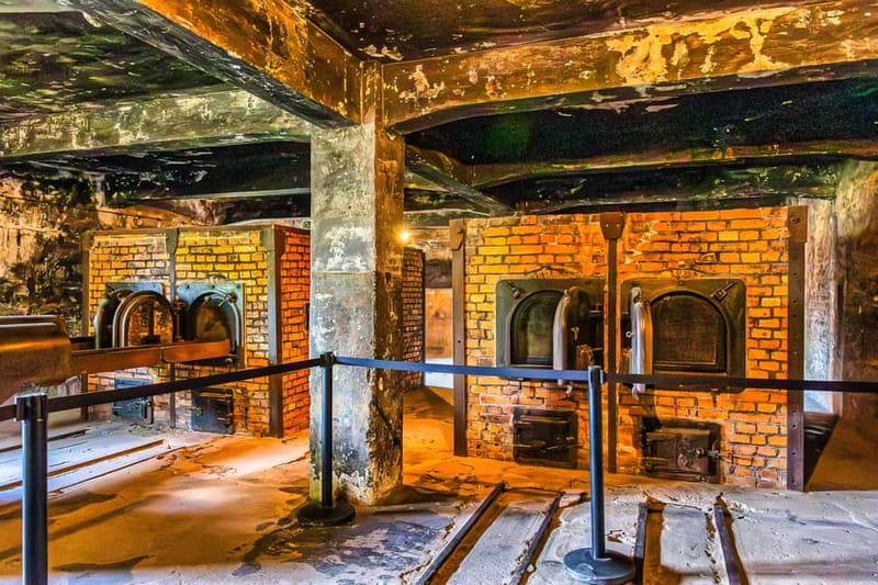 From Krakow: Auschwitz-Birkenau Guided Tour with Transport - Who will value this tour most