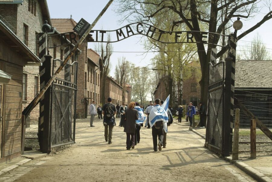 From Krakow: Auschwitz-Birkenau Memorial and Museum Tour - Key points to know before booking