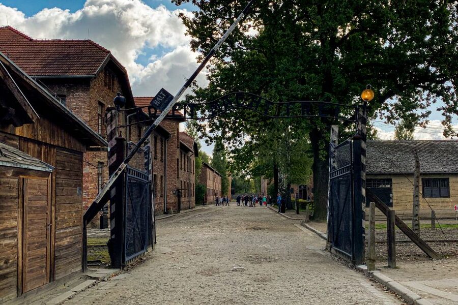 From Krakow: Auschwitz-Birkenau Memorial and Museum Tour - Should you book the Auschwitz-Birkenau tour?